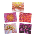 The Secret Universe | Dahlia Greeting Cards, Set of 5 (Blank Inside)