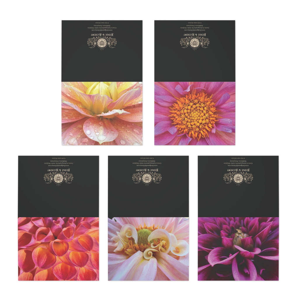 The Secret Universe | Dahlia Greeting Cards, Set of 5 (Blank Inside)